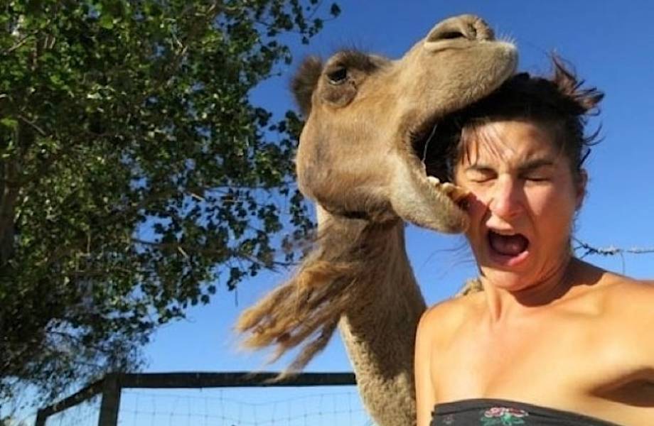 19 самых смешных фотобомб со всего мира