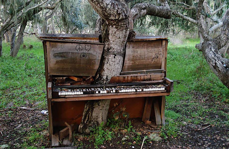 20 фотографий, на которых природа победила цивилизацию