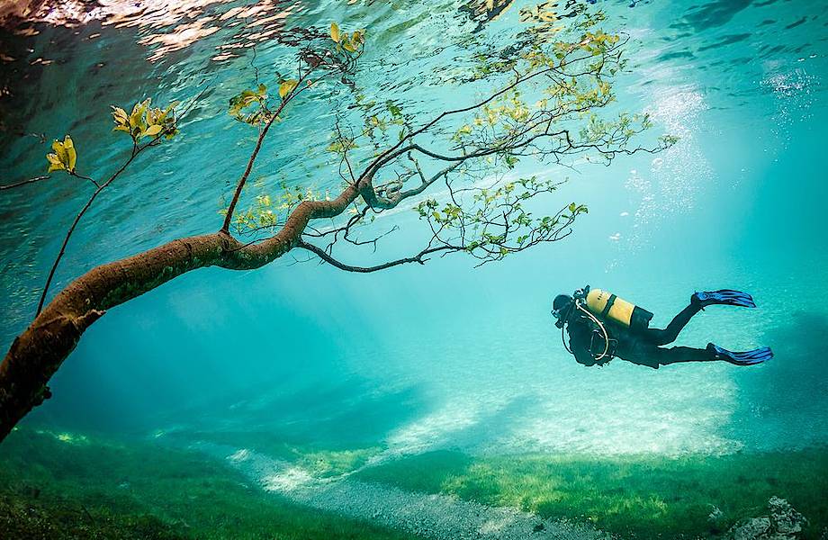 20 фотографий, которые доказывают, как удивительна и интересна жизнь на планете