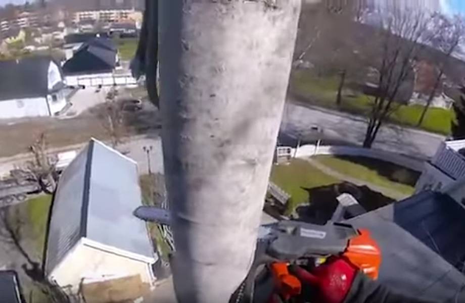 В Швеции спиливание деревьев сродни ювелирной работе! Это надо же так точно угадать!