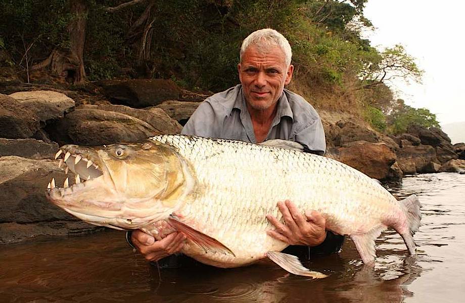 Море внутри: самое большое водохранилище