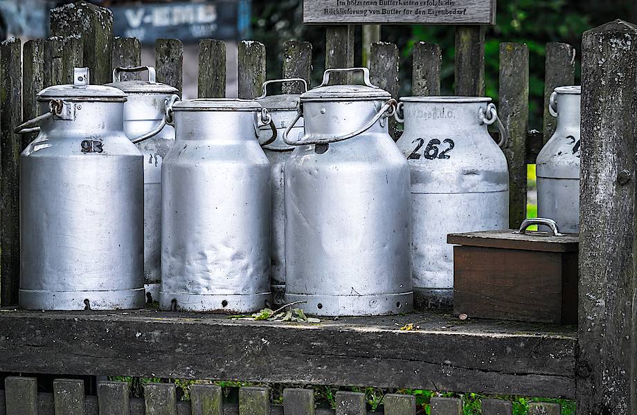 Молоко, кетчуп, жвачка и другие продукты, запрещенные в разных странах мира