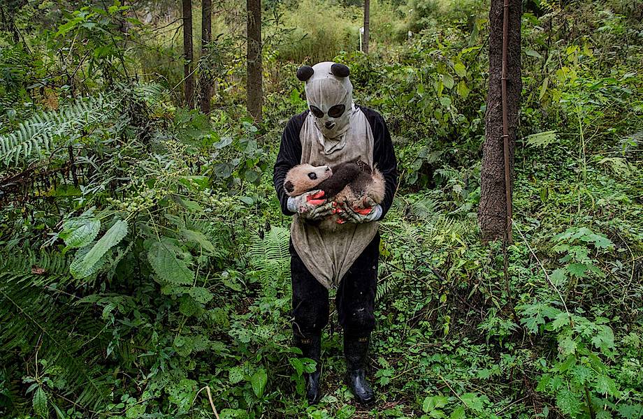 20 самых сильных снимков финалистов конкурса Sony World Photography Awards 2017