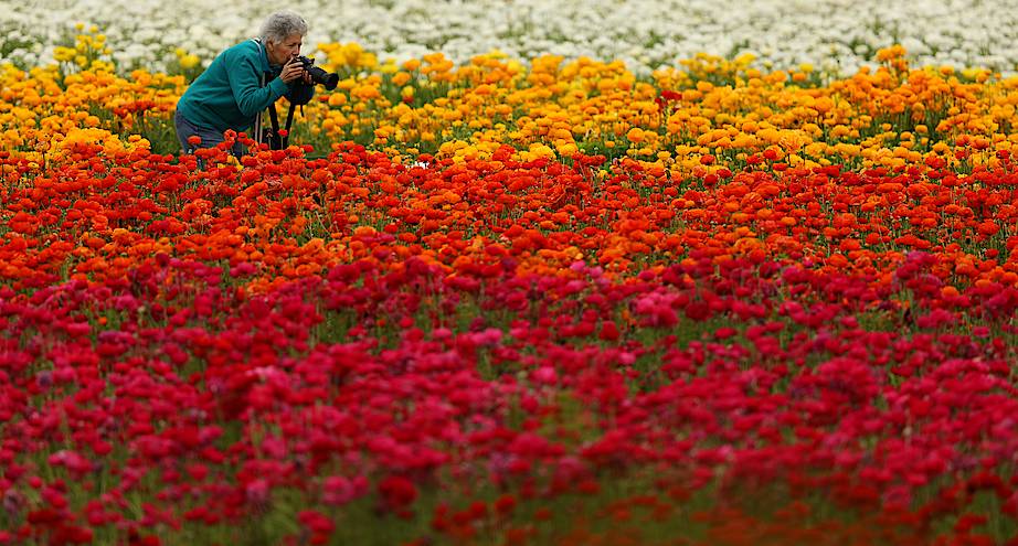 Фото дня: первый день весны в Калифорнии
