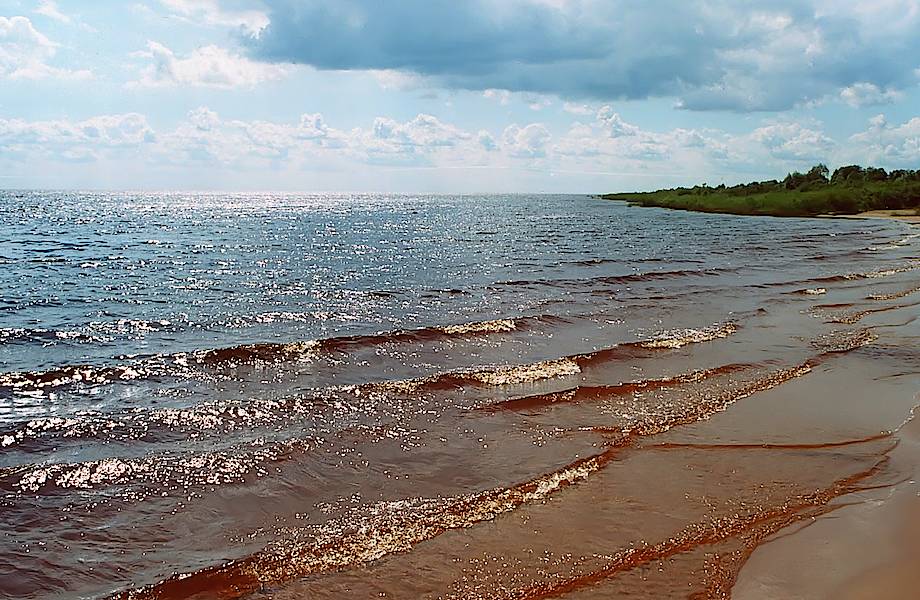  Великое озеро всех славян Ильмень скоро исчезнет с лица земли