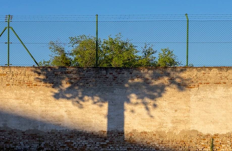 Проект «Совпадение»: 15 фото, на которые придется посмотреть дважды 