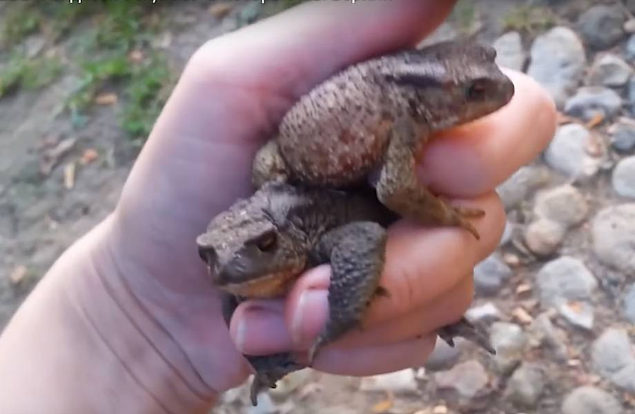Чего мы боялись в детстве