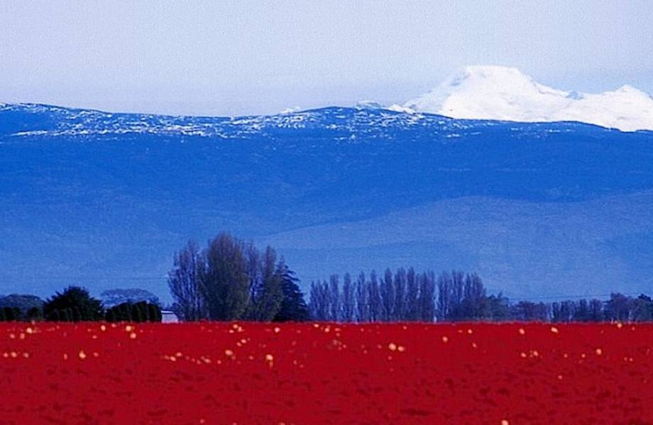 7 удивительных флагов государств, которые сотворила сама природа