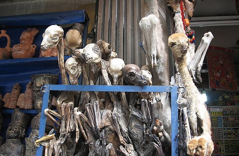 Рынок ведьм в Боливии: удивительное место, где можно купить все для колдовства
