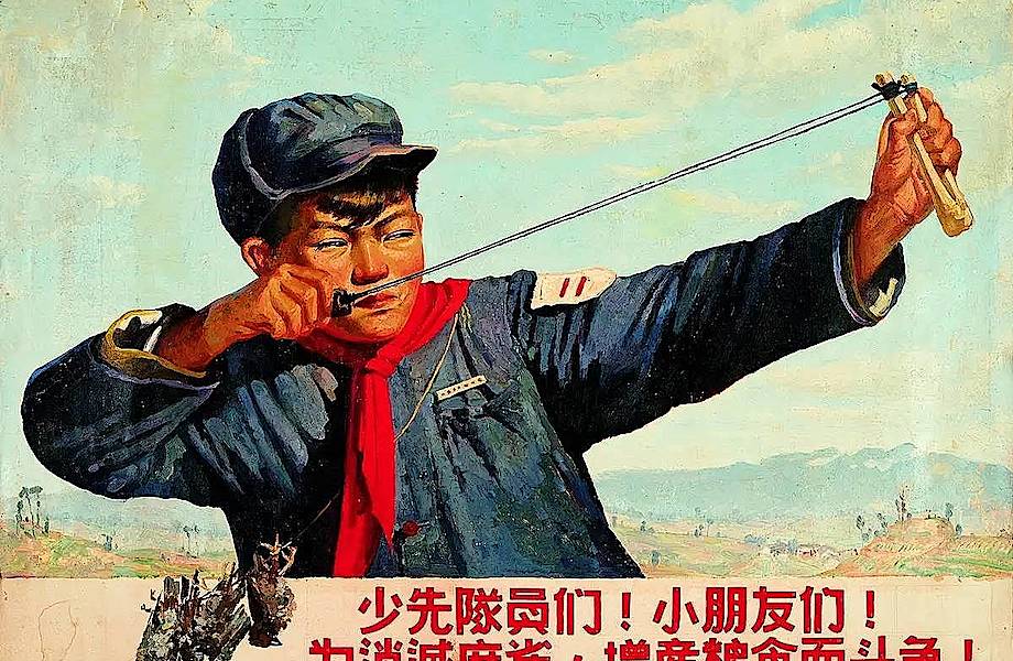 30 миллионов жизней: как природа наказала Китай за истребление воробьев
