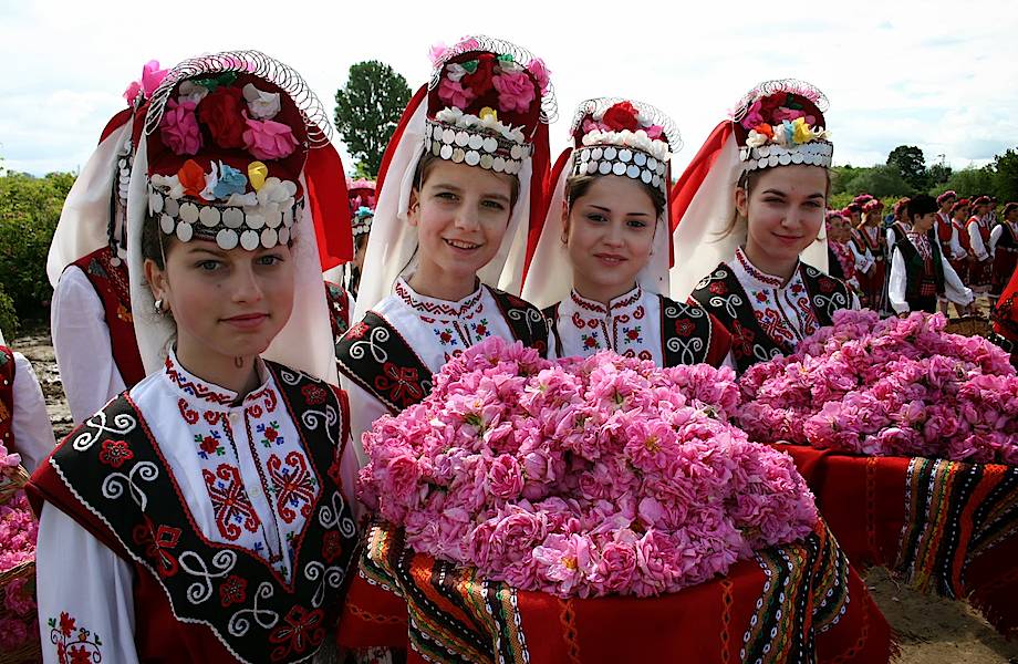 Долина роз в Болгарии: как получают драгоценное розовое масло