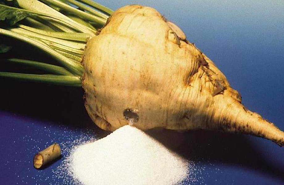 Самый вкусный продукт химии: как производят белый сахар из сахарной свеклы