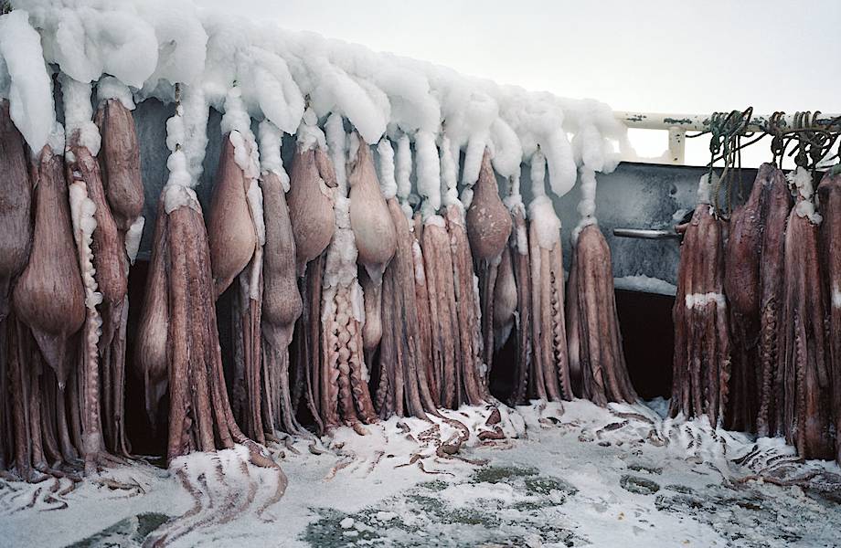 Чудеса и ужасы Берингова моря: рыбак показал, как морепродукты попадают к нам на стол