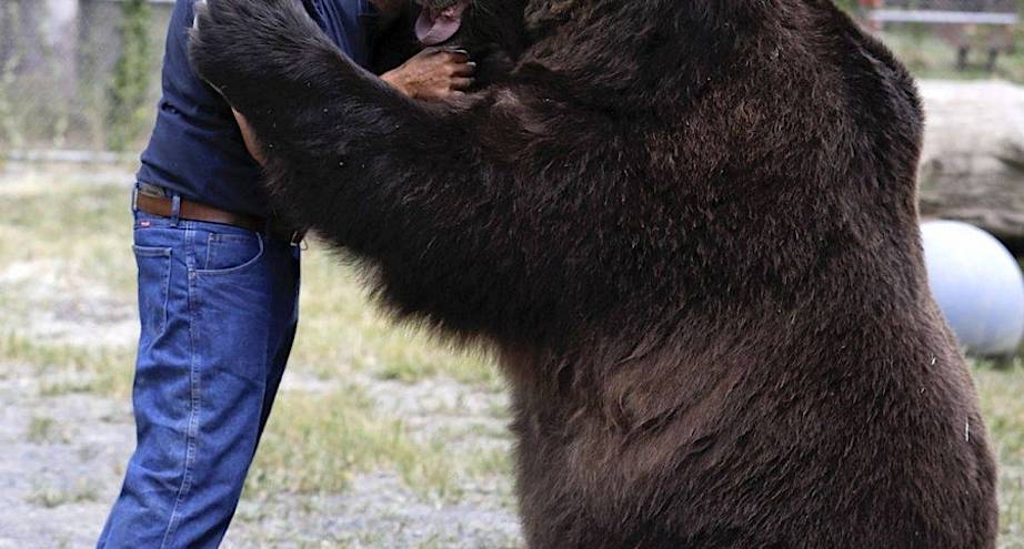 Фото дня: когда ваш друг весит 700 кг