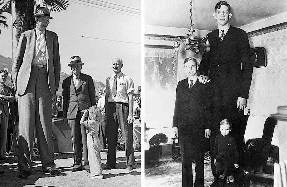 Странные фото и настоящая история самого высокого мужчины в истории человечества 