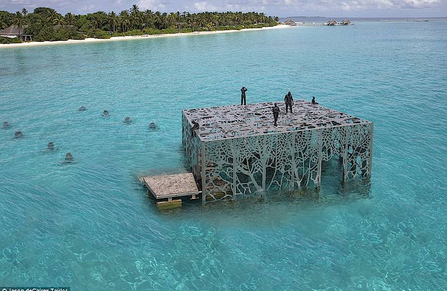 На Мальдивах открыли художественную галерею под водой