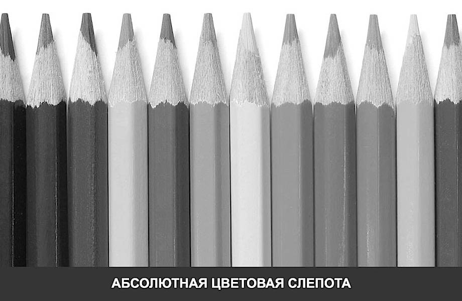 Как дальтоники видят мир