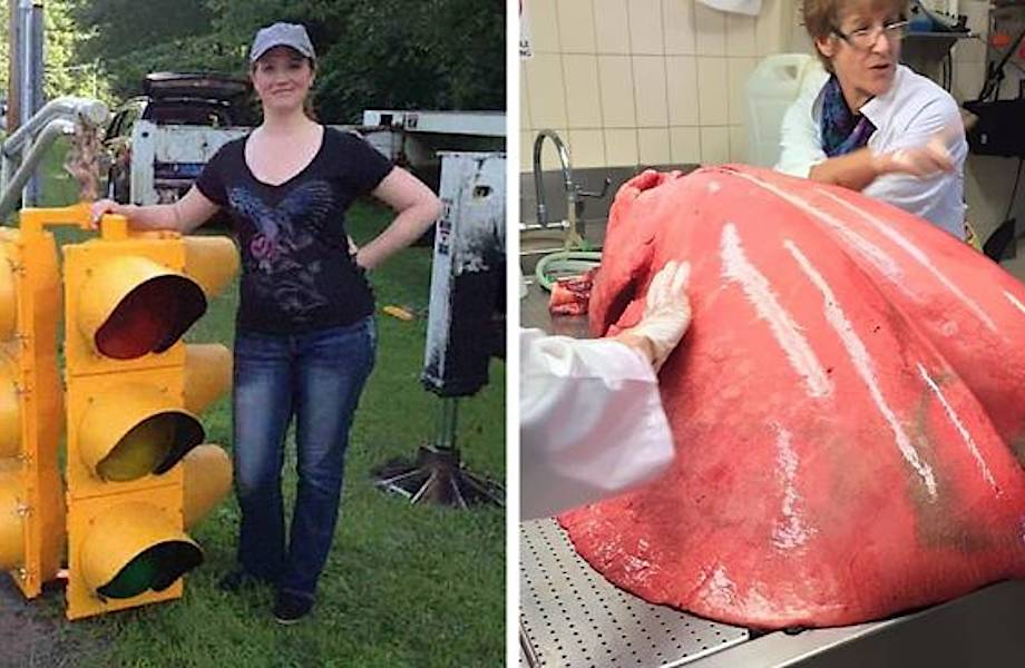 20 вещей, которые гораздо больше по размерам, чем вы могли себе представлять 
