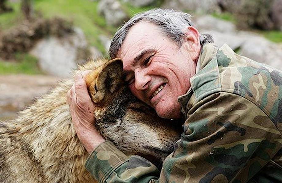 Есть ли жизнь у Маугли: испанец провел 12 лет с волками и вернулся в мир людей