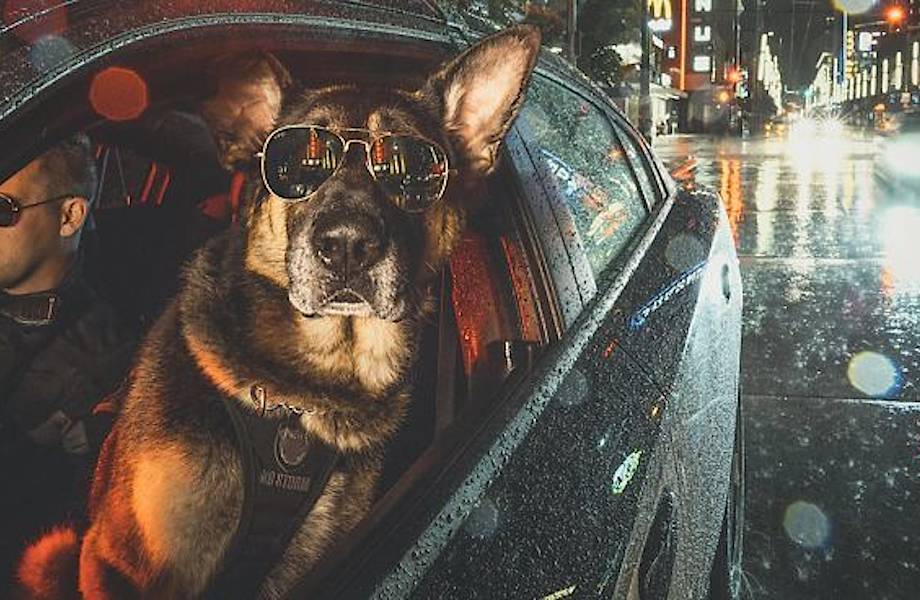 Полиция Ванкувера выпустила благотворительный календарь на 2019 год, и он очень крут