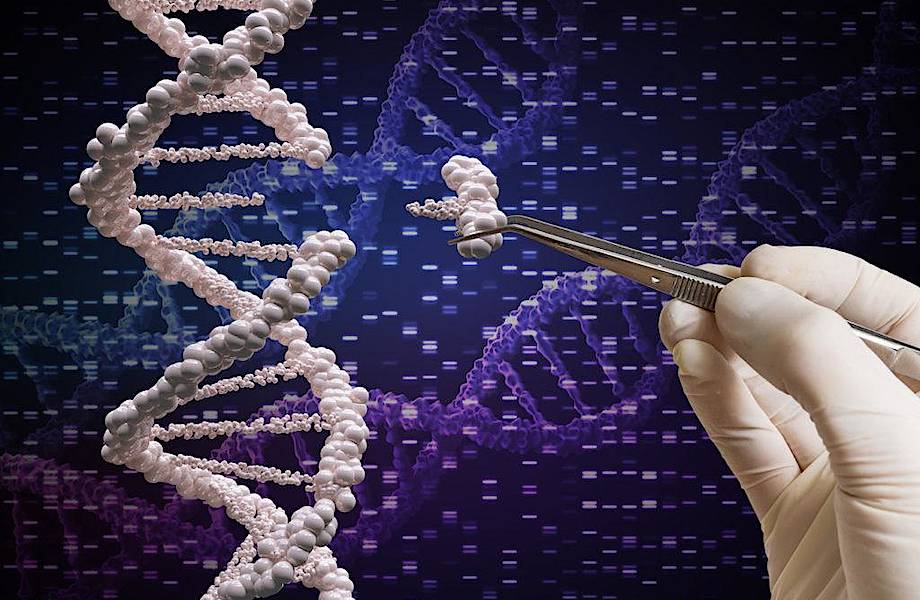 Генетически модифицированные девочки и китайский ученый, который исчез