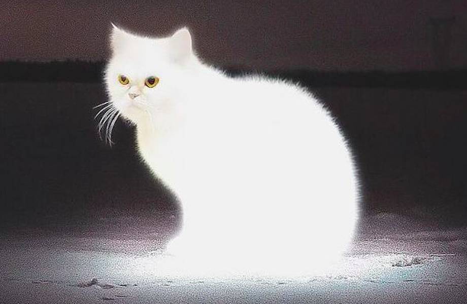 35 удивительных изображений о том, что мир вокруг сюрреалистичен 