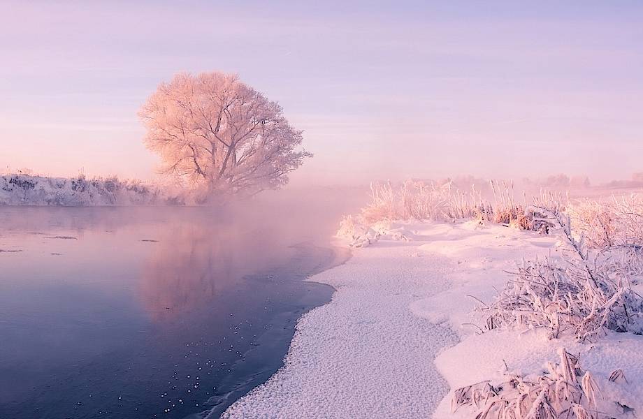 11 волшебных фотографий зимы от белорусского фотографа