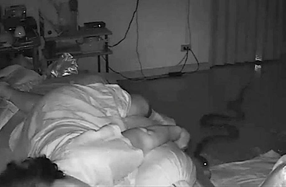 Видео: В Таиланде питон забрался в дом и укусил за ногу спящую старушку