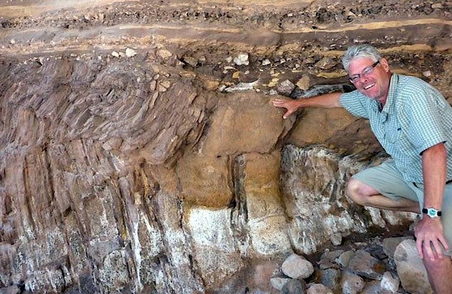 Ученые нашли древнюю дорогу, проложенную доисторическими обитателями океана