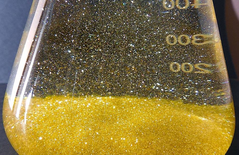 В Австралии обнаружены грибы, которые питаются золотом