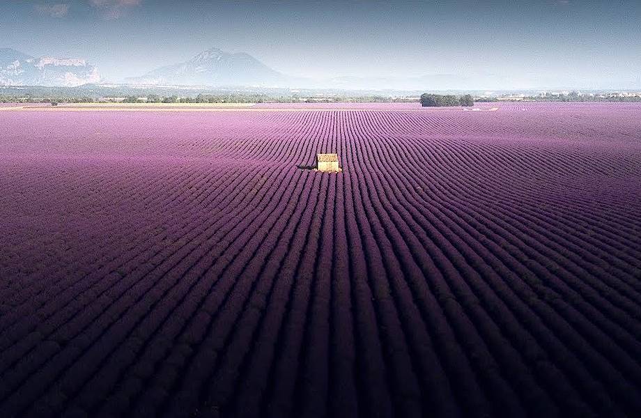 Воздушные снимки лавандовых полей волшебной красоты на юге Франции Воздушные снимки лавандовых полей волшебной красоты на юге Франции
