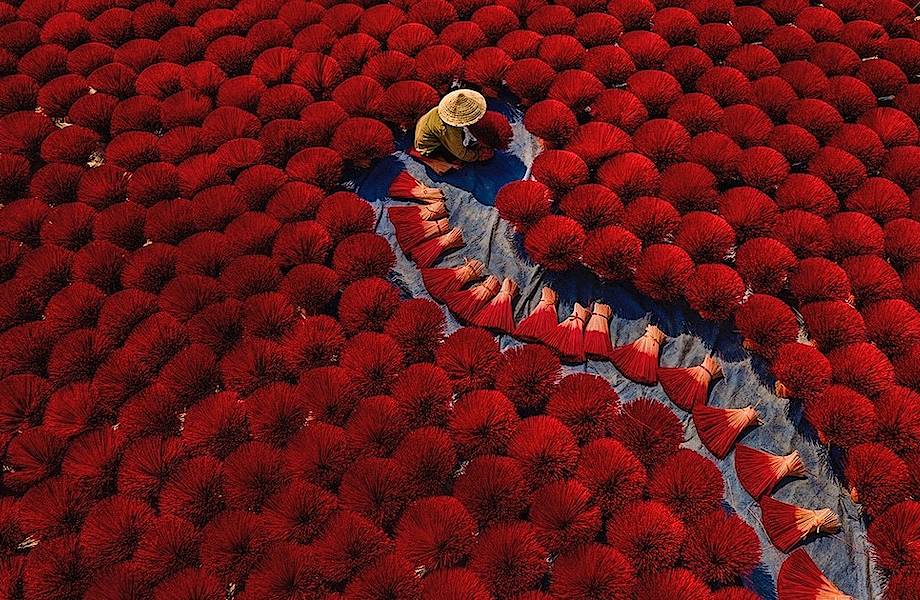 Первые впечатляющие работы с конкурса Sony World Photography Awards 2020
