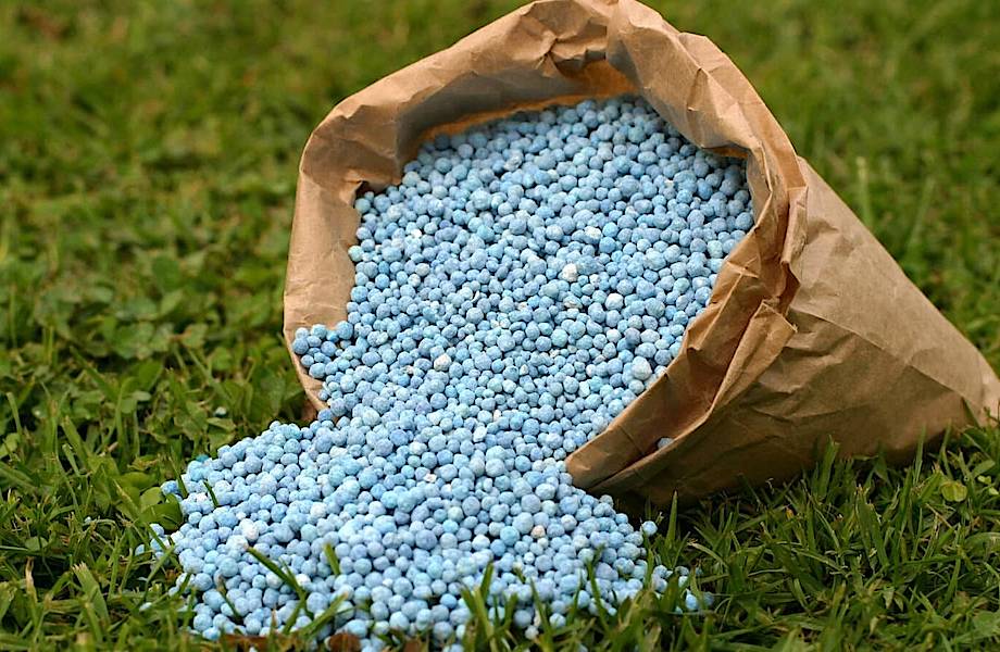 Кризис, которого никто не ожидает: чем обернется для цивилизации дефицит фосфора 