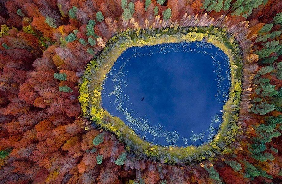 Красочные фотографии о том, насколько волшебна осень в Польше