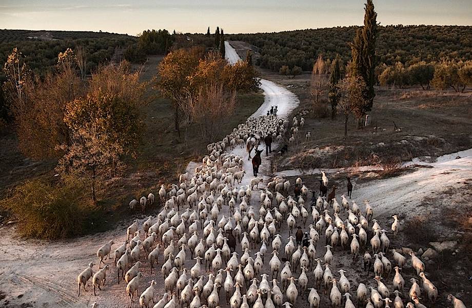 Объявлены победители конкурса Siena International Photo Awards 2019