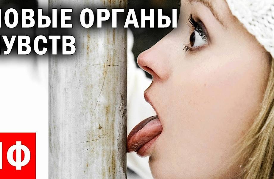 Удивительные органы чувств в человеческом организме, о которых мы даже не задумываемся Удивительные органы чувств в человеческом организме, о которых мы даже не задумываемся