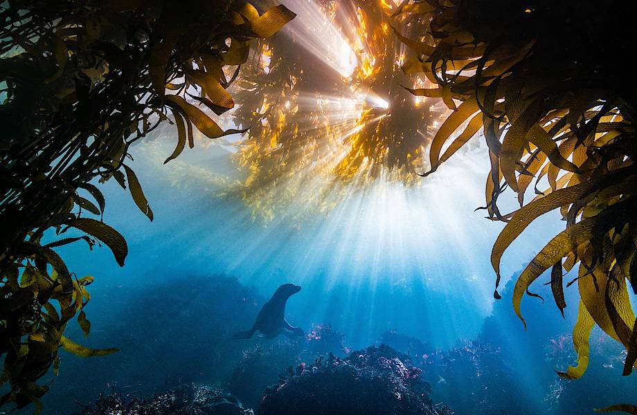 15 неотразимых снимков, победивших в конкурсе фотографии Nature Conservancy
