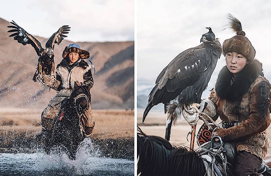 Фотограф запечатлел одну из последних женщин-охотниц с соколами в Монголии 