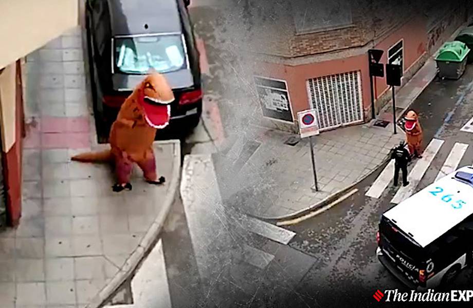 В Испании на видео попал тираннозавр, который нарушил карантин и отправился гулять