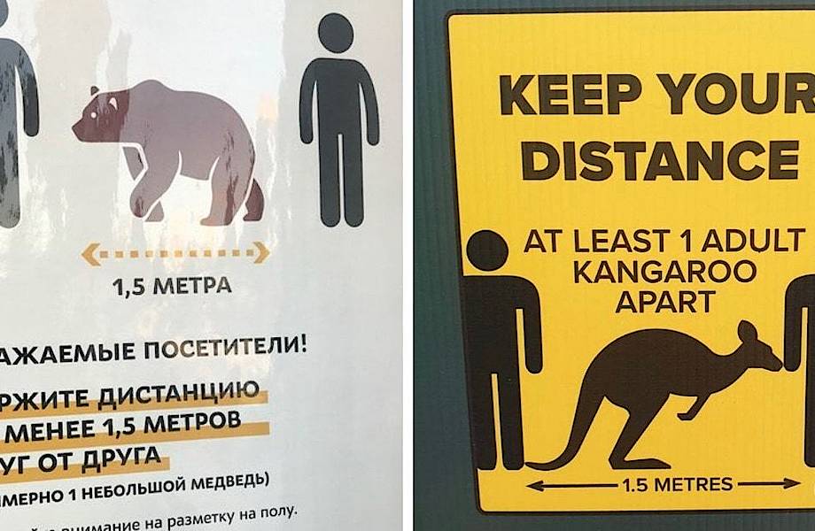 Во всем мире безопасную дистанцию между людьми вдруг стали измерять животными