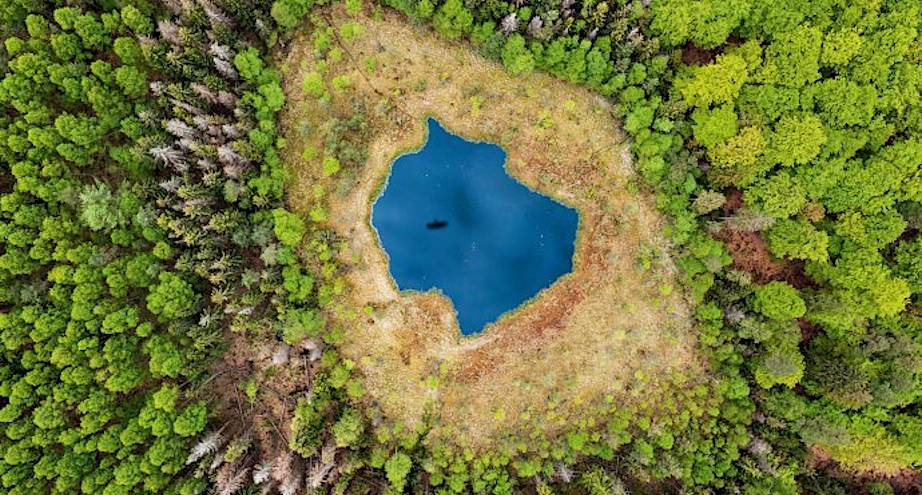 Фото дня: Троеградский краеведческий парк весной