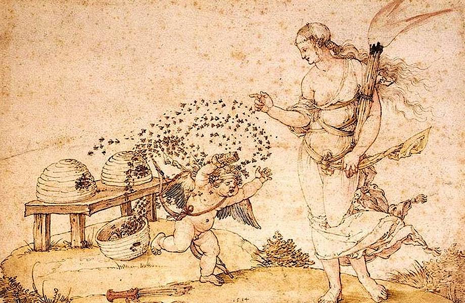 Что будет, если пчелы исчезнут, и как давно они с человеком