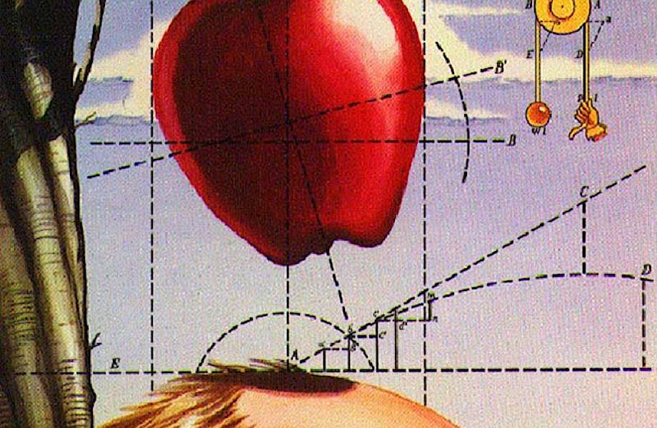 50 кружек кофе, дремота и многое другое: откуда гении черпали свое вдохновение