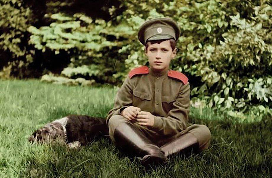 ​Настоящие фавориты: любимые питомцы царей и императоров