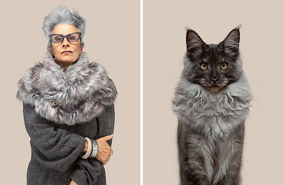 15 забавных фотопар котов и хозяев, показывающие их удивительное сходство