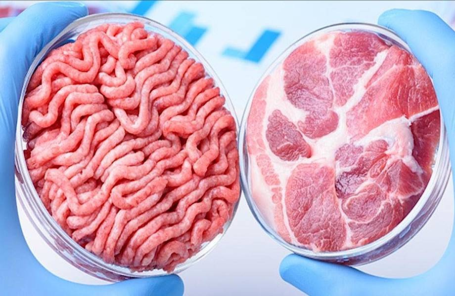 Почему синтетическое мясо полезнее обычного