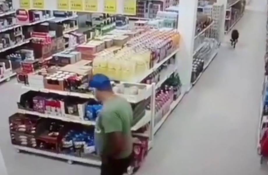 Видео: Сообразительная собака пришла в магазин, чтобы незаметно украсть пакет с кормом