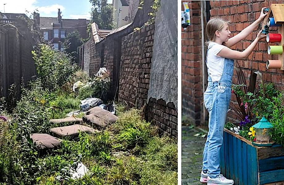 Соседи объединились для уборки заброшенной улочки, которая всех пугала, и сделали чудо