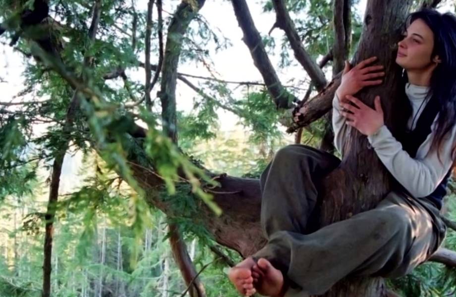 Видео: Девушка 2 года прожила на дереве, чтобы сберечь его