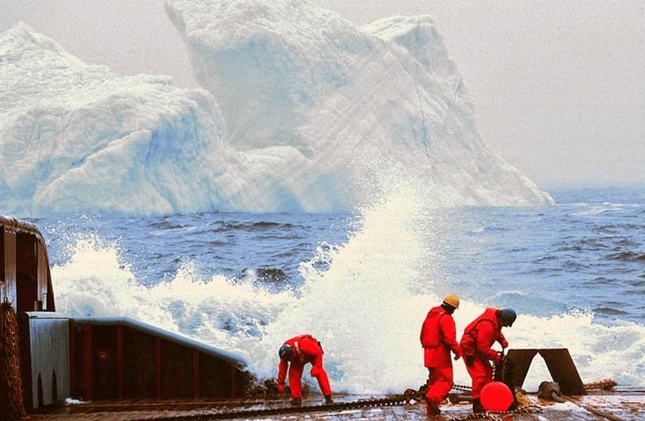 Профессиональный соня и уборщик айсбергов: 4 самых необычных должности